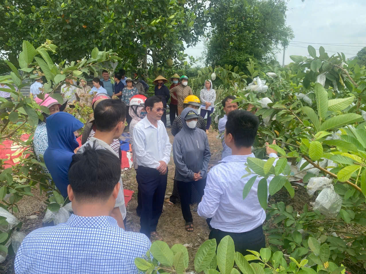 Hội Nông dân xã Đông Hưng tổ chức tập huấn kỹ thuật trồng và chăm sóc cây trồng cho hội viên nông dân